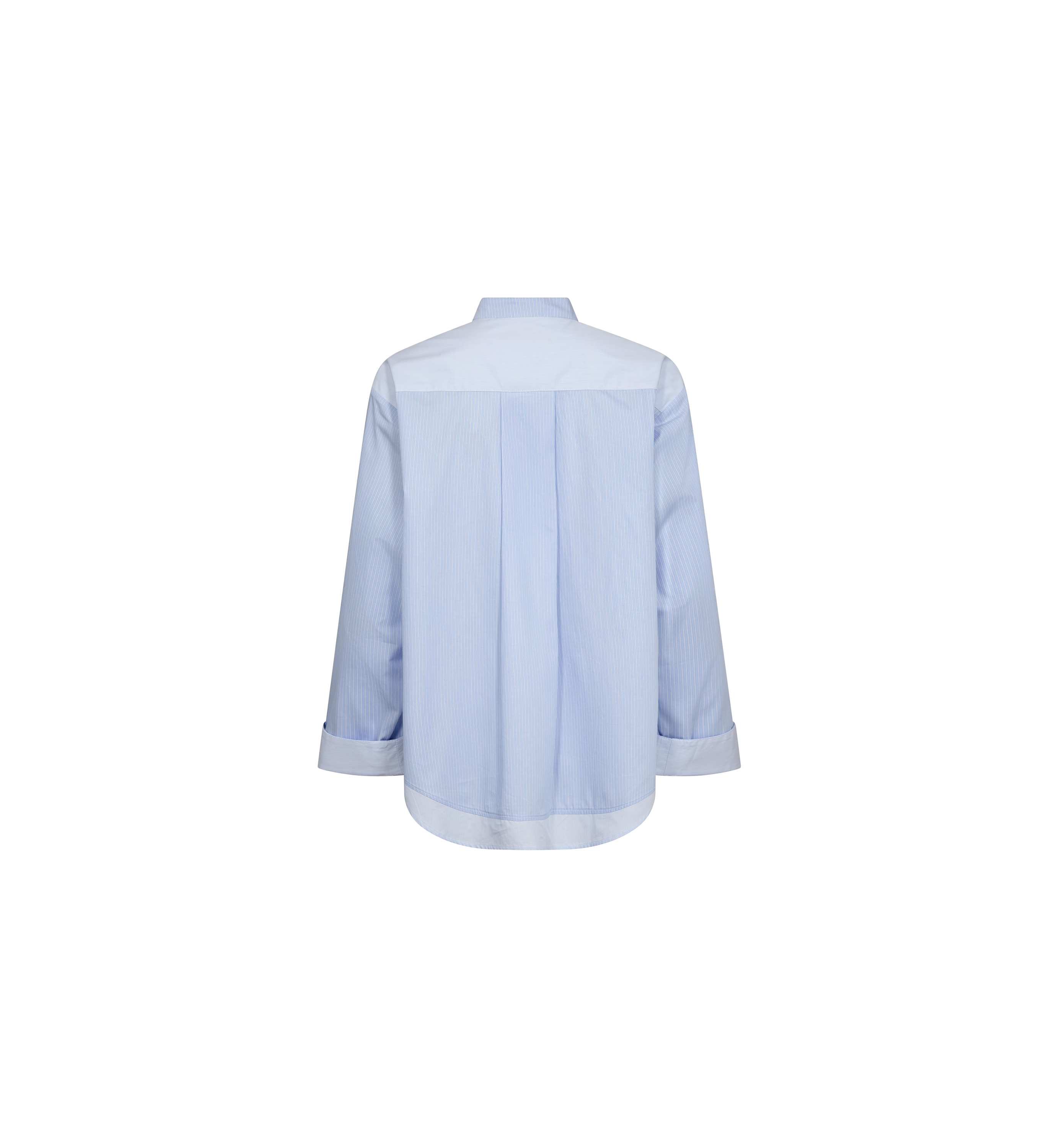 Packshot / Brunnera Blue / Back